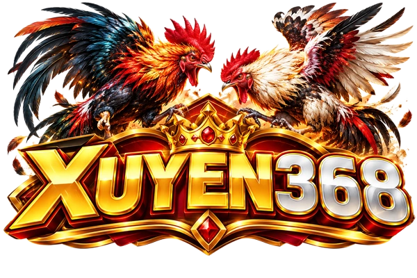 xuyen368.com