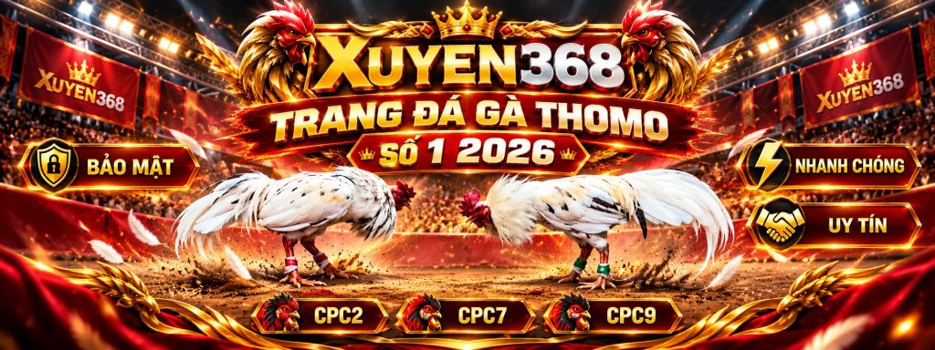 XUYEN368 trang đá gà Thomo số 1 2026